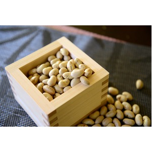 煎り豆(ミヤギシロメ) 無添加 6袋 商品写真4