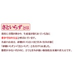 煎り豆(さといらず) うす塩味 15g×20袋 border=