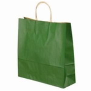 (業務用2セット)ベルベ 手提袋 T-6 1664 緑 50枚 商品写真