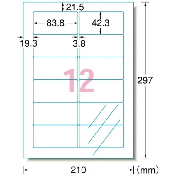 エーワン レーザーラベル 31581 透明タイプ A4 12面10枚