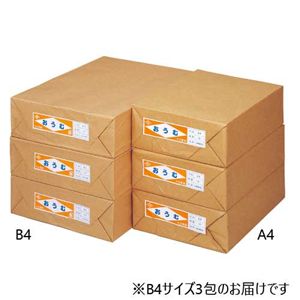 更紙 おうむS B4 1000枚×3包