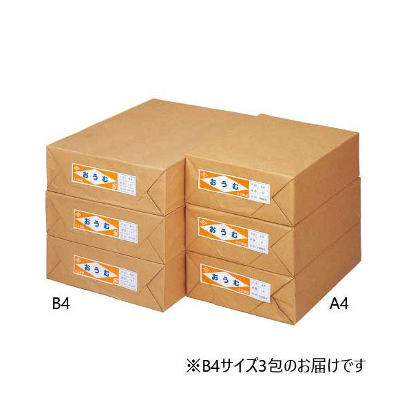 更紙 おうむS B4 1000枚×3包