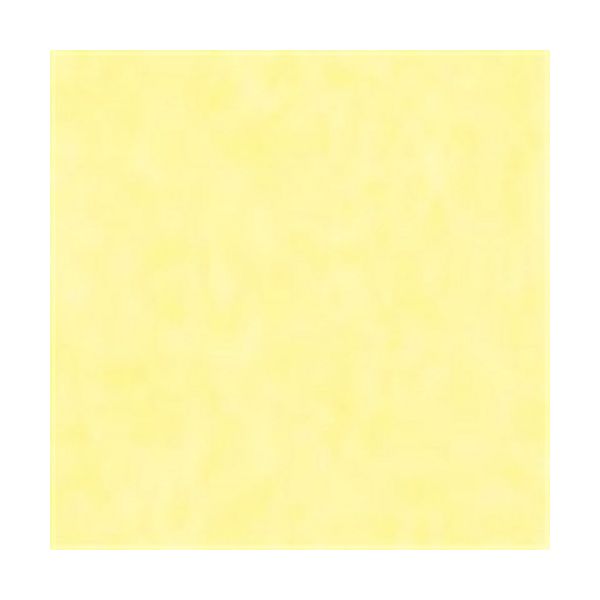 やよいカラー 4ツ切100枚 うすきいろ