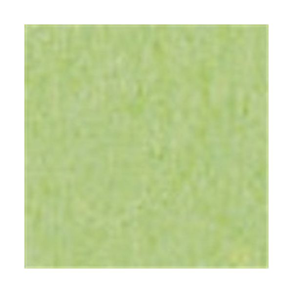 やよいカラー 4ツ切100枚 たけ