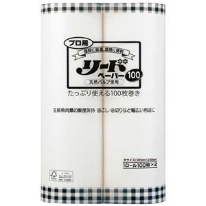 プロ用リードペーパー100枚×2本 大サイズ