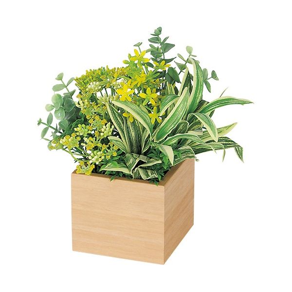 卓上ポット ミニ100角 GR4381ナチュラル