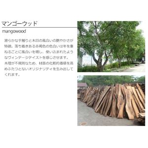 木目調ダイニングテーブル/リビングテーブル 【長方形/幅150cm】 木製 『texens』  商品写真4