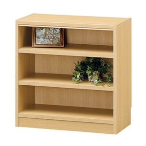 フリーラック/収納棚 【ナチュラル】 幅590×奥行290×高さ600mm 移動棚付き 組立式 『タナリオ』 〔リビング〕【代引不可】