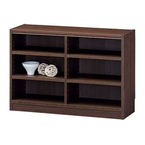 フリーラック/収納棚 【ダークブラウン】 幅870×奥行290×高さ600mm 移動棚付き 組立式 『タナリオ』 〔リビング〕【代引不可】