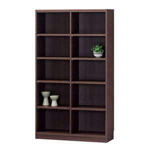 フリーラック/収納棚 【ダークブラウン】 幅870×奥行290×高さ1500mm 移動棚付き 組立式 『タナリオ』 〔リビング〕【代引不可】