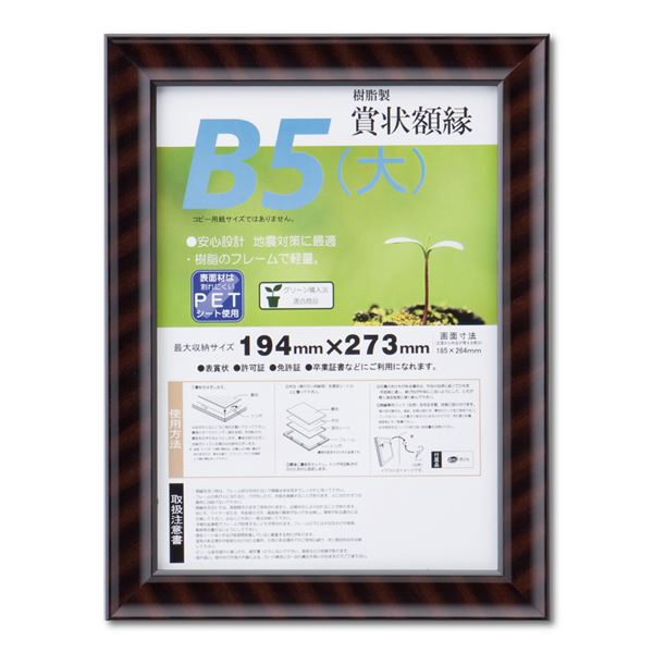 樹脂製賞状額 金ラック‐R SP B5（大） 収納寸法：194×273mm