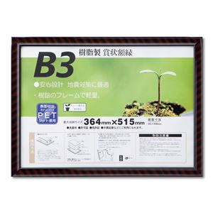 樹脂製 賞状額 金ラック R SP B3 収納寸法：364×515mm 賞状 額 表彰状 卒業証書 免許書 許可証 額縁 フレーム