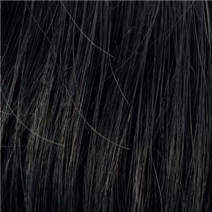 メンズヘアピース ダンディヘア 【自然な黒】 商品写真2