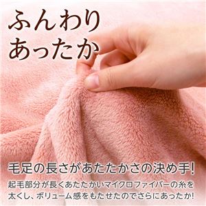 ニューふわもこ カフェオレ 【4: 毛布シングル】 商品写真2