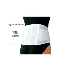 日本シグマックス 腰痛ベルト マックスベルトCH ライト 3L 340205 商品写真