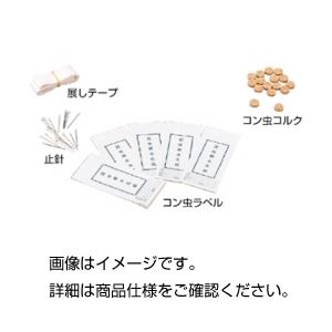(まとめ)コン虫標本製作用品 コン虫ラベル【×20セット】 商品写真