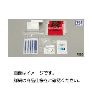 (まとめ)DNA鑑定キット FSB8【×3セット】 商品写真