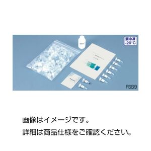(まとめ)DNA電気泳動キット FSB9【×3セット】 商品写真