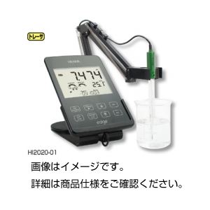 タブレット型pH計 edge HI2030-01 商品写真