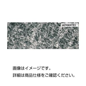 (まとめ)PTFEメンブレンフィルター H050A025A【×3セット】 商品写真