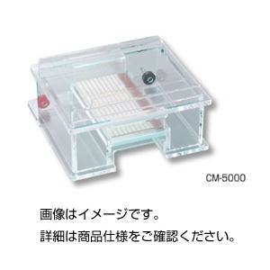 (まとめ)水平型電気泳動装置 CM-5000【×3セット】 商品写真