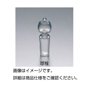(まとめ)共通摺合球栓 19/38【×5セット】 商品写真