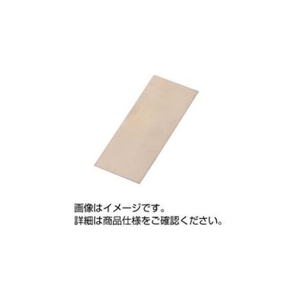 （まとめ）実験用金属板 ニッケル板50×60mm ターミナル無し B-28 【×10セット】