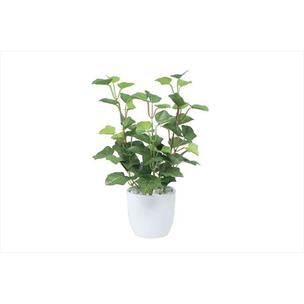 光の楽園【光触媒/人工観葉植物】ミニアイビーポット