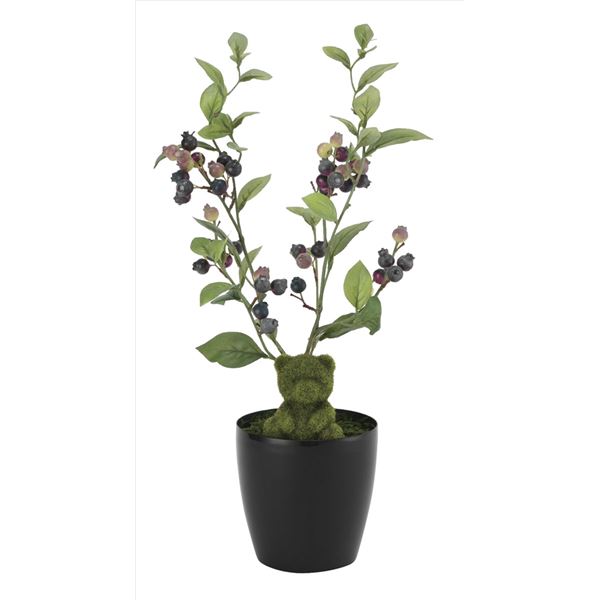 光の楽園【光触媒/人工観葉植物】ブルーベリーベア