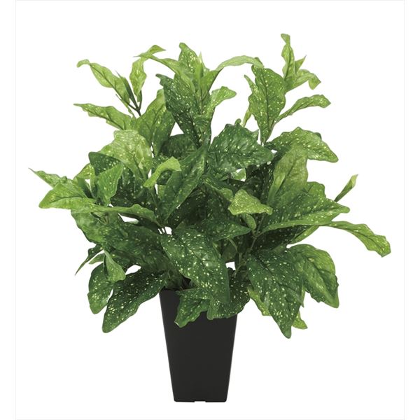 光の楽園【光触媒/人工観葉植物】アクバL