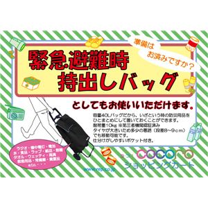 【cocoro (ココロ)】MORRY(モリー) ショッピングカートチェアー/ダークグリーン 商品写真2