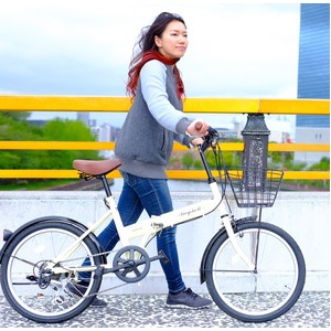 折りたたみ自転車 20インチ/アイボリー シマノ6段変速 【Raychell】 レイチェルFB-206R 商品写真1