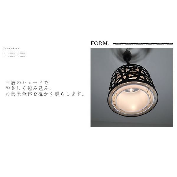 ペンダントライト(吊り下げ型照明器具) 円形 〔リビング照明/ダイニング照明/キッチン照明〕【電球別売】
