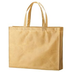(まとめ) TANOSEE 不織布バッグ 大 ヨコ530×タテ400×マチ幅120mm ベージュ 1パック（10枚）  【×5セット】