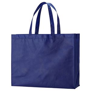 (まとめ) TANOSEE 不織布バッグ 大 ヨコ530×タテ400×マチ幅120mm ネイビー 1パック（10枚）  【×5セット】