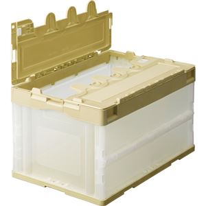 (まとめ) TANOSEE 折りたたみコンテナ フタ付 40L アイボリー／透明 1台  【×5セット】
