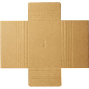 (まとめ) TANOSEE タトウ式段ボール B5用 1パック（50枚）  【×5セット】