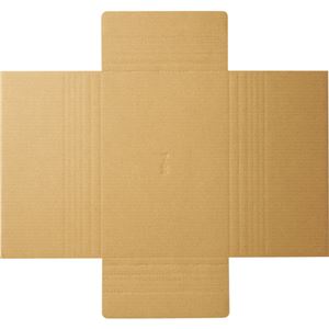 (まとめ) TANOSEE タトウ式段ボール A4用 1パック（50枚）  【×5セット】
