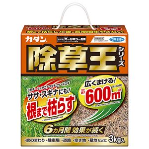 (まとめ) フマキラー カダン除草王 オールキラー粒剤 3kg 1本  【×5セット】