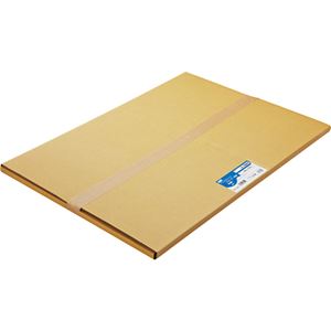 (まとめ) TANOSEE 普通紙 A2カット 420×594mm 1箱（100枚）  【×5セット】