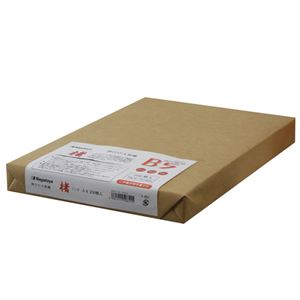 (まとめ) 長門屋商店 マルチOA和紙 楮入奉書 白 B5 ナ-851 1冊(250枚)  【×5セット】