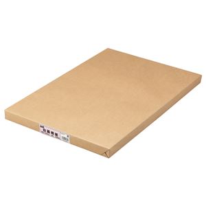 (まとめ) TANOSEE 白画用紙 四つ切 業務用パック 1パック（100枚）  【×5セット】