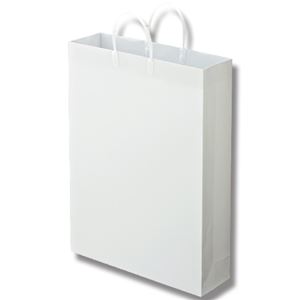 (まとめ) TANOSEE ラミネートバッグ 特大 ヨコ380×タテ510×マチ幅110mm 白 1パック（10枚）  【×5セット】