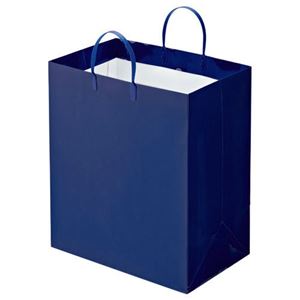 (まとめ) TANOSEE ラミネートバッグ マチ広 ヨコ350×タテ400×マチ幅220mm 紺 1パック（10枚）  【×5セット】