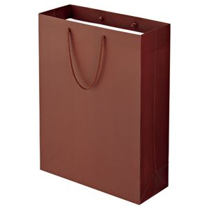 (まとめ) TANOSEE マットコート手提げ袋 LL ヨコ380×タテ500×マチ幅150mm ブラウン 1パック（10枚）  【×5セット】