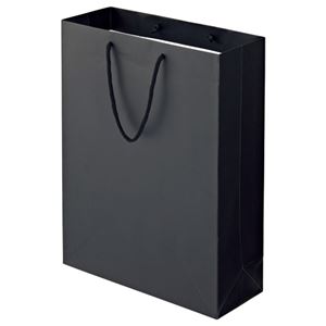 (まとめ) TANOSEE マットコート手提げ袋 LL ヨコ380×タテ500×マチ幅150mm ブラック 1パック（10枚）  【×5セット】