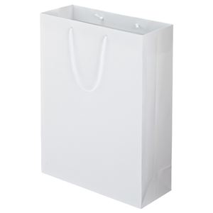 (まとめ) TANOSEE マットコート手提げ袋 LL ヨコ380×タテ500×マチ幅150mm ホワイト 1パック（10枚）  【×5セット】