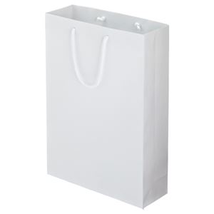 (まとめ) TANOSEE マットコート手提げ袋 L ヨコ320×タテ450×マチ幅110mm ホワイト 1パック（10枚）  【×5セット】