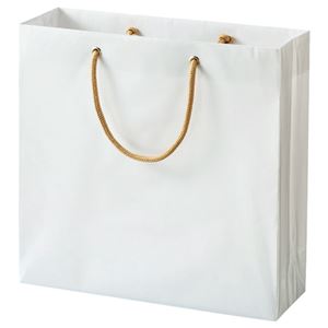 (まとめ) TANOSEE ビニールカバー付手提げ袋 S ヨコ330×タテ320×マチ幅110mm 白無地 1パック（10枚）  【×5セット】