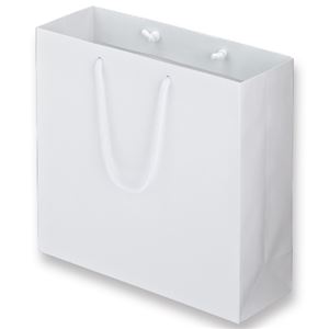 (まとめ) TANOSEE マットコート手提げ袋 M ヨコ320×タテ300×マチ幅110mm ホワイト 1パック（10枚）  【×5セット】